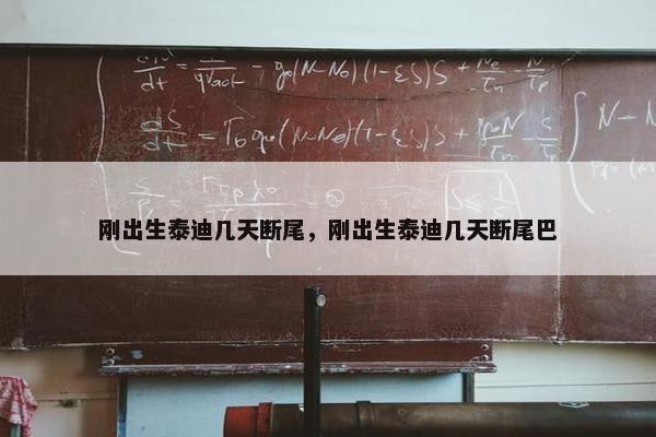 刚出生泰迪几天断尾，刚出生泰迪几天断尾巴